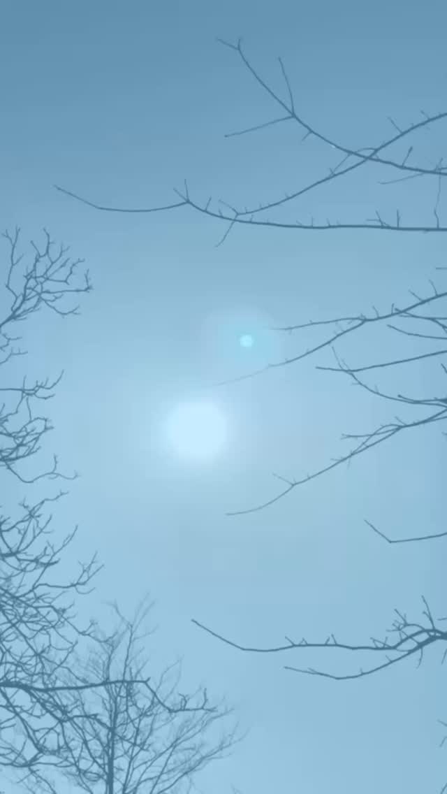 🎈 Een feestelijke verrassing voor de bewoners van de Ruitenbeek! Kijken jullie mee? 🤩 #duofiets #gezinshuis #deruitenbeek