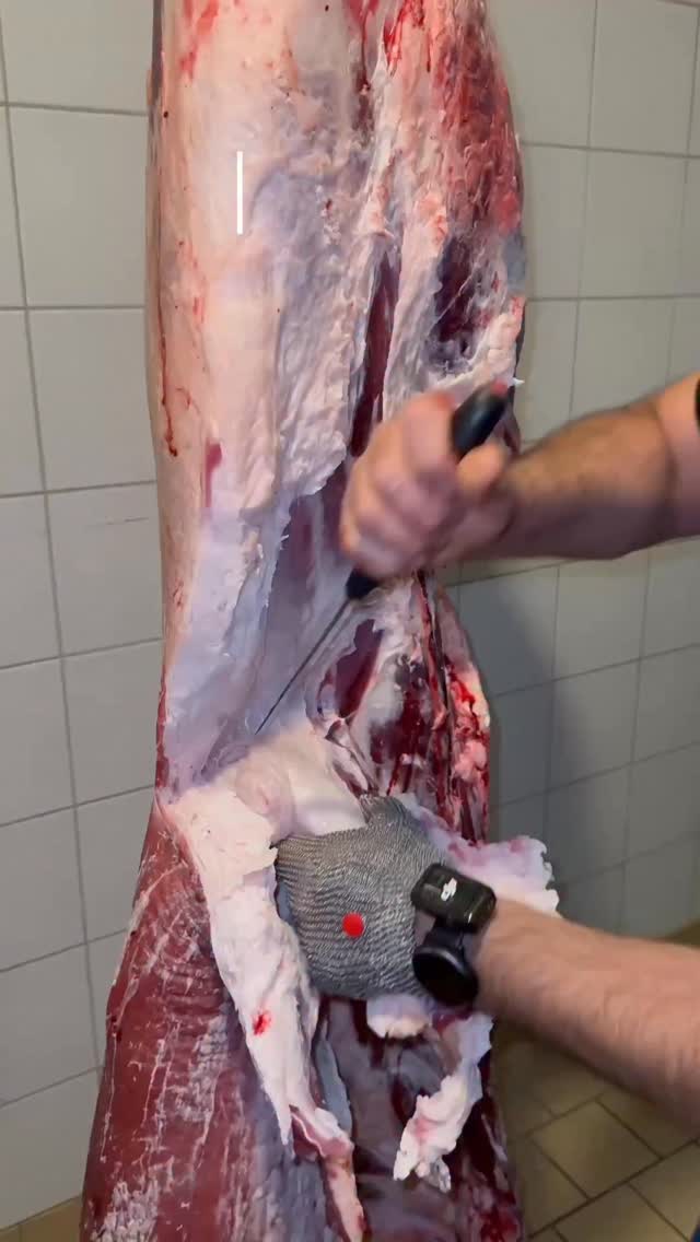 🌙 Ramadan Tag 10 & 11 bei Kulla
Zehn. Elf.
Und jeder Abend bringt mehr Stimmung, mehr Energie, mehr Ramadan-Vibes 🤍🍽️
Warme Teller, volle Tische, starke Atmosphäre.
Iftar bei Kulla ist Gemeinschaft, Genuss und ein fester Treffpunkt im Ramadan ✨
📍 Bielstrasse 120, 2540 Grenchen
📞 032 652 19 19
📍 Birchstrasse 10, 3186 Düdingen
📞 026 505 10 20
Reservierungen nur telefonisch oder vor Ort.
#fyp #ramadan #iftar #kulla #balkan