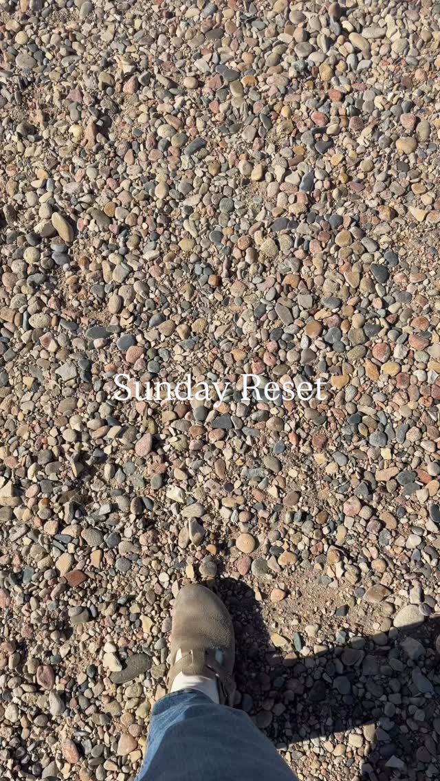 Recently Sundays have me prioritizing rest, sun, and quality time 🤍☀️
What are your Sunday must-do’s?
#sundayreset #wellnessjourney #cyclesyncing #holisticliving #hormonebalance