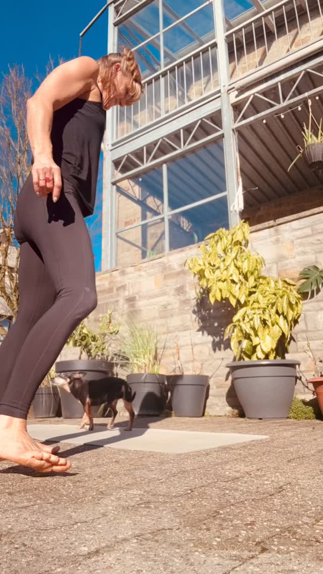 Diese Woche geht es im unsere Flanken. Wir dehnen, kräftigen und finden zu tiefer Atmung.
Möchtest du auch mal mit mir kreativ fließen oder lieber sanft entspannen? Dann kannst du schon jetzt den nächsten Kurslauf buchen oder jederzeit mit einer 5er oder 10er Karte in die Kurse einsteigen.
Wir sehen uns auf der Matte.
Ich freu mich auf dich!
Deine Tanja
#ichliebeyoga #wetterruhr #yogastudio #yogastudio #flowandgrow