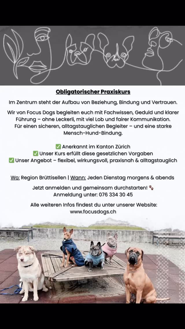 Im Kanton Zürich ist ein obligatorischer Hundekurs Pflicht – aber bei uns bekommst du mehr als nur das Minimum 😉
Du lernst, wie du deinen Hund sicher, entspannt und alltagstauglich führst 🐕🦺
✅ Gesetzliche Anforderungen erfüllen
✅ Alltagstraining statt trockene Theorie
✅ Individuelle Betreuung
✅ Spass für dich & deinen Hund
📍 Region Brüttisellen
📆 Sichere dir jetzt deinen Platz
👉 Jetzt anmelden und gemeinsam durchstarten!
www.focusdogs.ch