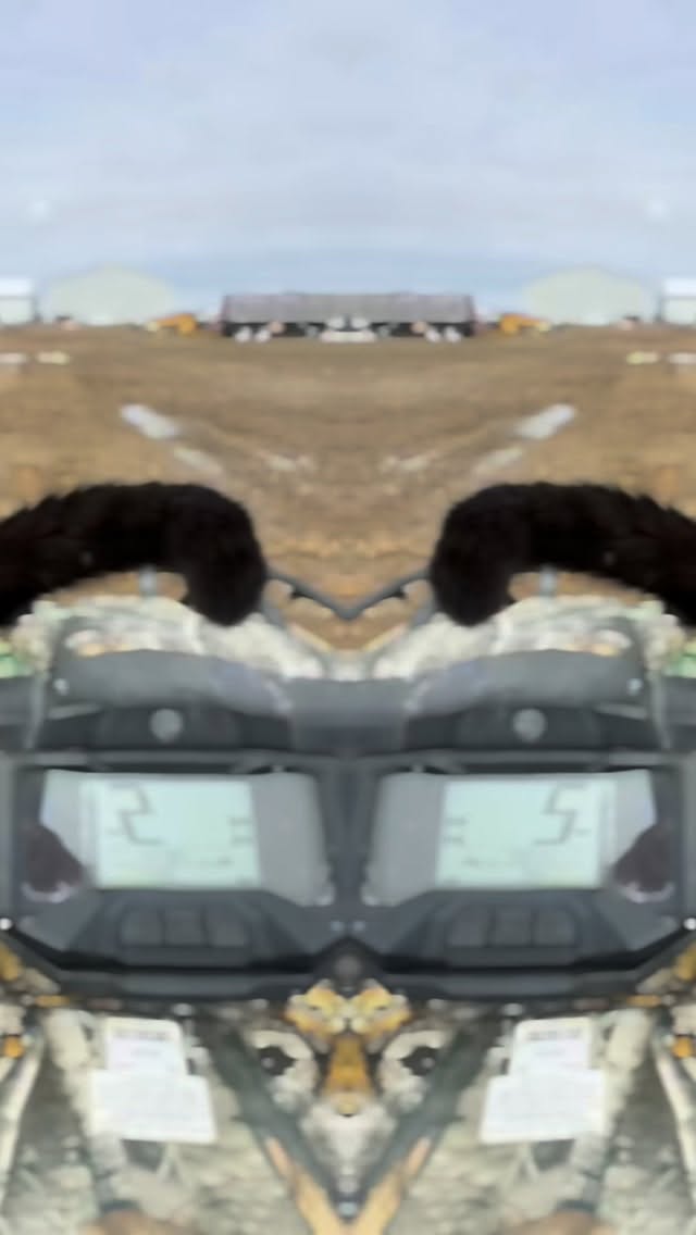 Dreaming of mud on my paws instead of snow in my whiskers. ❄️➡️☀️
#blizzardof26 #njblizzard #barncat #blackcat #redwagonfarmnj