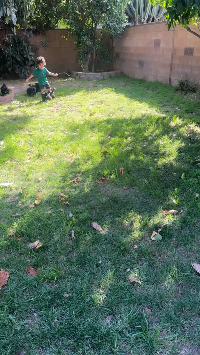 Tell me you’re a puppy kid without telling me you’re a puppy kid. 🐾😂
#kids #kidandpuppy #shihtzu #puppylove #toddler
Don’t miss out on the opportunity to welcome one of these lovable companions into your life! Contact us today to inquire about our available puppies or to reserve your newest family member. 🏡❤️🐾
www.luxuriousshihtzu.com
✈️ Shipping available
📍Los Angeles, CA