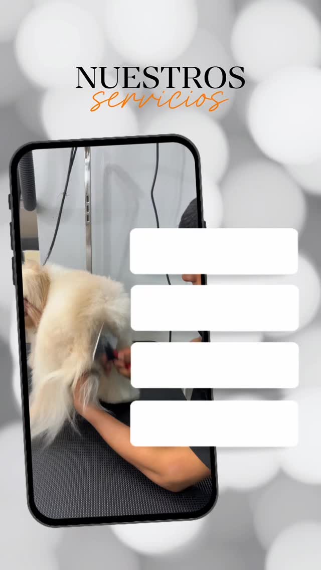 ✨ En Studio Grooming consentimos a tu mascota como se merece ✨
Aquí bañamos a tu mascota con productos de alta calidad, realizamos cortes según la raza o el estilo que prefieras, y brindamos una experiencia llena de cuidado y amor 🐾
Además, ofrecemos servicios adicionales como:
🦷 Cepillado dental
🪮 Deslanado
💧 Keratina
🥥 Hidratación de huellas y nariz
✂️ Eliminación de nudos
📲 Escríbenos al 6163-4227
🌐 Reserva tu cupo a través de nuestra página web:
www.studiogroomingpanama.com
📍 Estamos ubicados en El Cangrejo, PH Vitro Loft
Tu mascota merece verse y sentirse espectacular 🖤✨
#StudioGroomingPTY
#PeluqueriaCaninaPanama
#GroomingPanama
#MascotasFelices
#DogSpaPanama