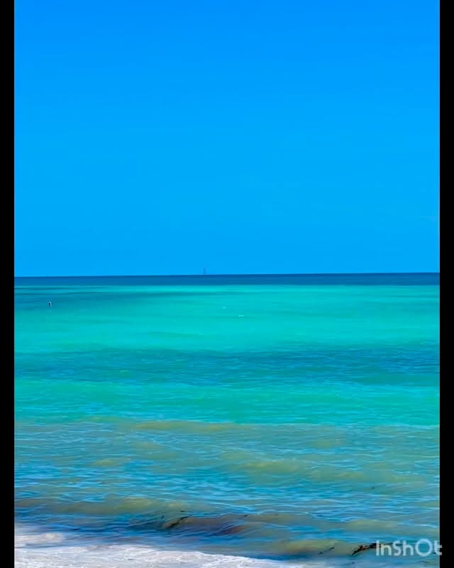 Living the dream as full-time artists, traveling across Florida with our work and our passion by our side 🎨✨
The beauty of what we do is the freedom — the freedom to pause when a place steals our hearts, breathe in the ocean air 🌊, wander through nature 🌴, rest, get inspired… and then keep creating.
For us, art isn’t separate from life — it’s shaped by every sunset 🌅, every quiet stop, and every new horizon.
This weekend, February 21–22, you can find us in Key West at the Old Island Days Art Festival — Booth #511 🖼️
Come visit us, say hello, and experience our art in person. We’d love to meet you! 🤍
Work, travel, create, repeat. And honestly, we wouldn’t have it any other way.
#FullTimeArtists #ArtistLife #TravelingArtists #ArtistOnTheRoad #CreativeLife #LifeOfAnArtist #ArtLifestyle #ArtJourney #ArtInMotion #CreateEveryday
#FloridaArtists #FloridaLife #FloridaKeys #KeyWest #KeyWestArt #KeyWestEvents #VisitKeyWest #FloridaArtScene #LocalArtists #SupportArtists
#ArtShow #ArtFestival