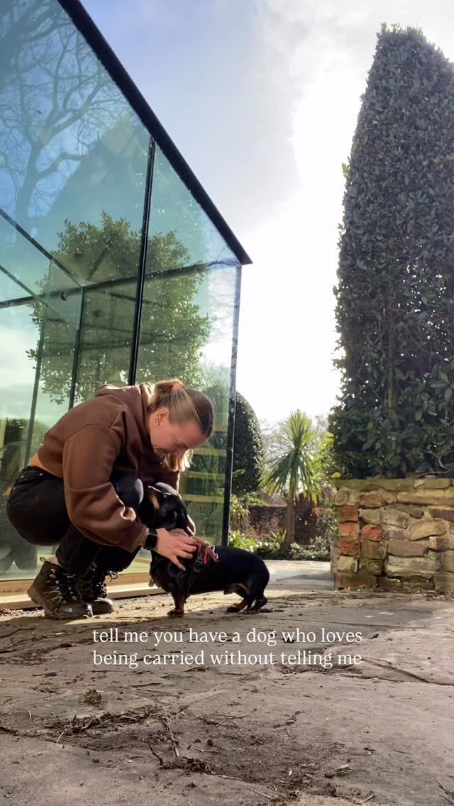 It’s the tiny bunny hops