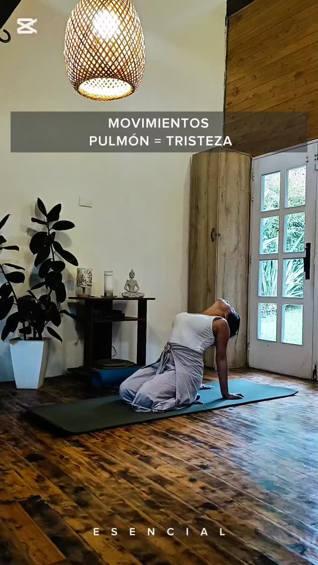 Este mes de Marzo tendremos un hermoso Ciclo de clases para todos los niveles, donde realizaremos un recorrido por el diseño biológico que rige nuestro espectro emocional; a través de prácticas físicas, energéticas y teoría que te permitirá comprender tú cuerpo como la parte visible y somática de tus emociones.
¡Serán 4 encuentros, iniciamos la próxima semana de Marzo!
Obtendrás:
- Series de Yoga diseñadas para el equilibrio de las emociones primarias a través de la activación del sistema orgánico de tu cuerpo.
- Memorias de la clase.
📅 Miércoles Marzo 11, 18, 25 y 1 de Abril
🕔 6:00 – 7:20 p.m.
🍃Inversión: $150.000 (4 clases) - $40.000 (1clase)
📍 Online
#yogasomatico #yogacolombia #yogamedellin #yogainspiration #yogaparatodos