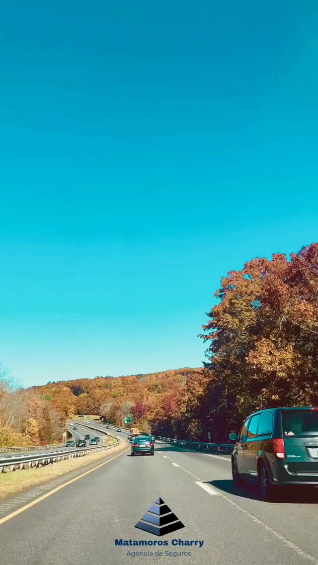 Vive tranquilo te asesoramos para la compra del seguro de autos