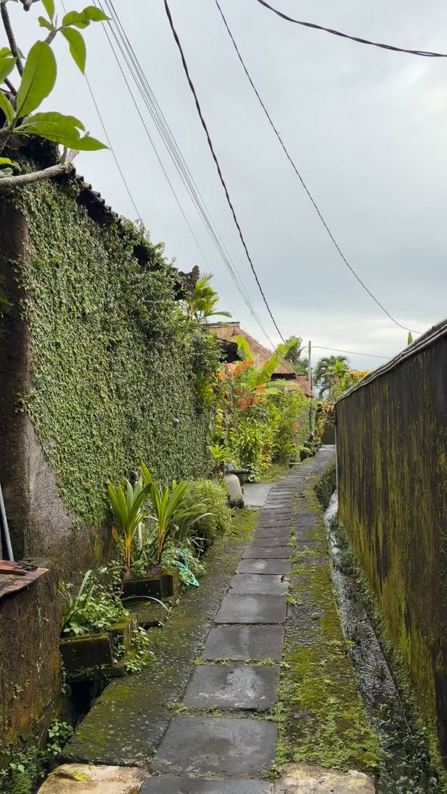 Join me for yoga online from Ubud, Bali , A space to reconnect, wherever you are.
If you’re missing the feeling of Bali, this can be a small doorway back, through breath, movement, and stillness.
Or join me in person when you are in Ubud.
I share yoga asana, pranayama, and light meditation.
For deeper rest and self-healing, I also offer sound bath sessions.
If this resonates with you, feel free to message me
#yoga #yogasana #breathingawareness #ubudyoga #ubud
