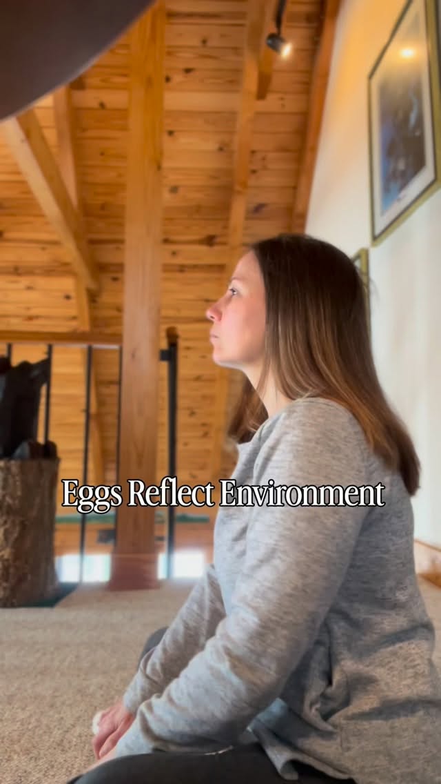 If you’ve been trying and nothing is changing,
we need to stop calling it “unexplained.”
Fertility isn’t mystical.
It’s biological.
Egg quality reflects:
• Cellular health
• Metabolic stability
• Hormone balance
• Inflammatory load
Before another round.
Before another protocol.
Before more waiting.
Map the environment first.
The quiz is in my bio.
#ttc #theeggawakening