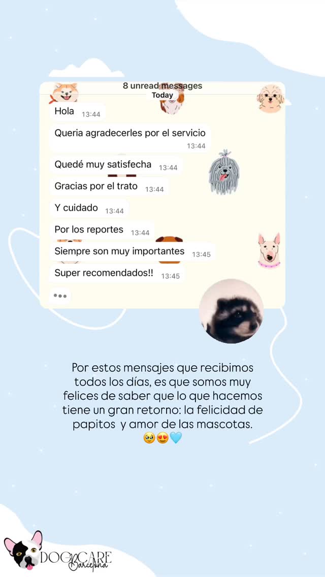 Nos llena el corazón recibir estos mensajes, sobre todo porque nuestro cuidado se especializa en esto: un cuidado personalizado donde le ofrecemos a la mascota un segundo hogar mientras sus papitos estás de vacaciones o en un work trip. 🥹🩵
#dogcarebarcelona #dogsitting #alojamientocaninoenbarcelona #guarderiacaninaenbarcelona #petsittingservices