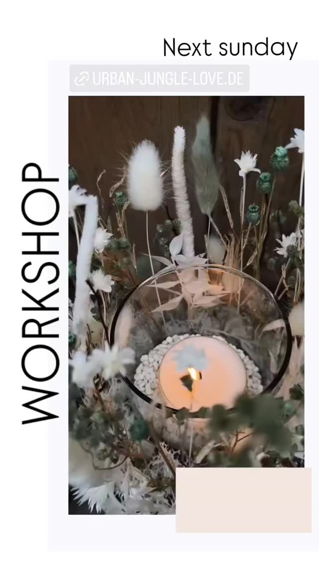 Nächsten Sonntag verwandeln wir den Tag in ein kreatives Highlight: In unserem gemütlichen Workshop gestaltest du dein ganz persönliches Trockenblumen‑Windlicht – ideal für dein Zuhause oder als liebevolles Geschenk.
Gemeinsam genießen wir eine entspannte Atmosphäre, die zum Ausprobieren und Gestalten einlädt. Die Plätze sind begrenzt, also sichere dir jetzt schnell deinen Spot, indem du dich über unsere Homepage
anmeldest. Ich freue mich darauf, mit dir einen inspirierenden Sonntag zu verbringen, voller Farben, Kreativität und guter Laune!
Datum & Uhrzeit: 01.03.26 12 - 14 Uhr
Ort: Urban Jungle Love
#DIY #kreativworkshop #floristikworkshop #urbanjunglelove #bergischgladbach