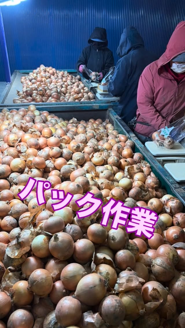 富良野青果センター、村上です
冬の玉ねぎ袋詰め作業中です
北海道って、冬、何してるんですか?
って、聞かれる事ありますので、冬でも仕事してますよー🚜
冬は、☃️雪があるので、選果やパック作業しています
皆さんにに、思いを込めて🧅お届けいたします^_^
#富良野青果センター #北幸農園 #玉ねぎ #農業