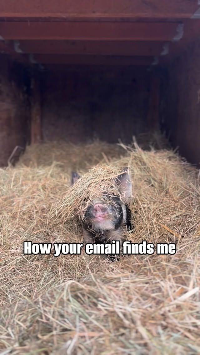 Happy Monday to all our 9-5ers out there! May your inbox be kind to you this week. 💚