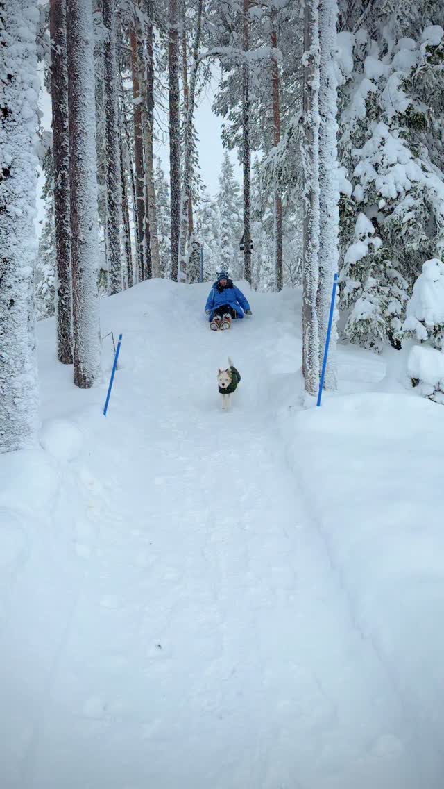 Recently I completely lost motivation to appear here.
Big world conflicts and also small (unimportant in a big scale) things here
I lost motivation
Our website text is copied to other companies websites.
Our ebook is copied.
There are accounts that whatever info we post, they are immediately talking about same things. As if they don’t have the knowledge or creativity…well, I think they don’t.
I was seriously thinking to leave it, stop posting. But then we met a beautiful lady in Levi who said that she follows us and love our stories. We start receiving messages from you asking where we are and that you miss our posts…and that melts my heart.
So we are back! With daily stories, info and Lapland tips😃 And if this will be copied, then that’s ok. Our knowledge will reach more people and that’s a positive outcome 🤗
Ps. Video from today from a walk number 5 in our Lapland ebook
#visitlapland #visitfinland #snowytrees