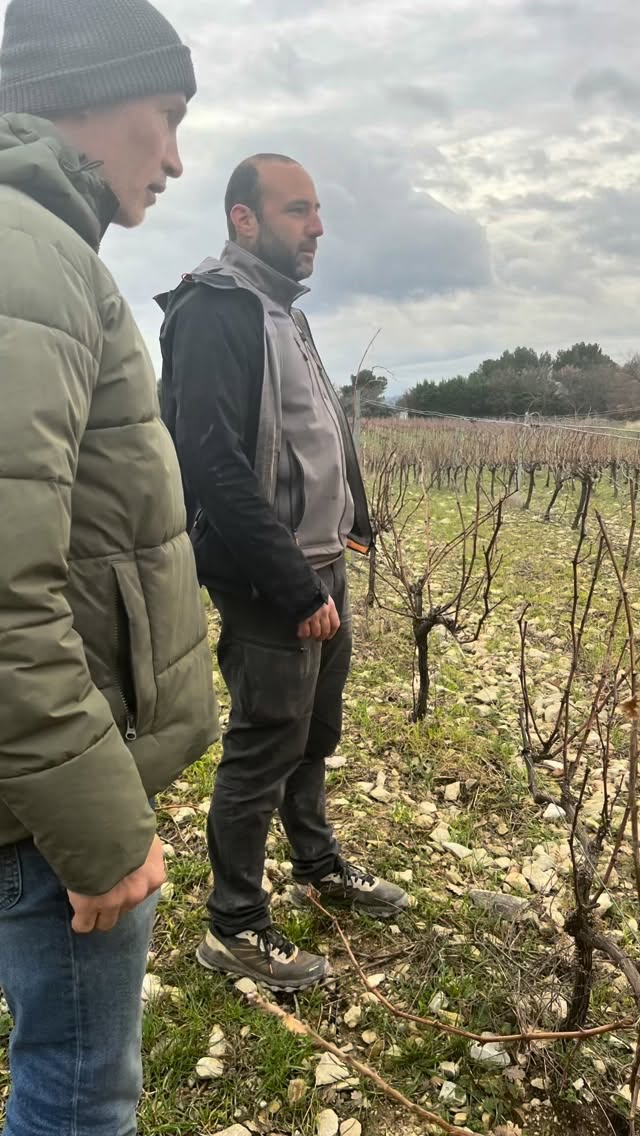 Als je in de winter door de wijngaarden rijdt lijkt alles hetzelfde. De wijnstokken lijken allemaal op griezelige boompjes uit een sprookje. Maar toch zijn het vaak verschillende soorten, maar hoe herken je ze?
Tibaut van @domaine_des_hautes_blaches legt uit.
Vind je dit leuk? Volg ons voor meer Rhône-wijn(stokken) nieuws.
#wijnkennis #grenache #viognier #clairette #wijnliefhebbers