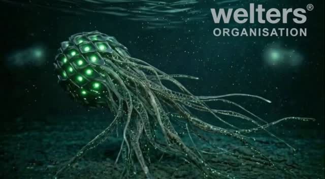 Evolution by Design
Even on the ocean floor...design isn't just an aesthetic choice... It's a necessity.
Visit www.welters-worldwide.com
#art #evolution #biota #natureandtechnology #abstractart