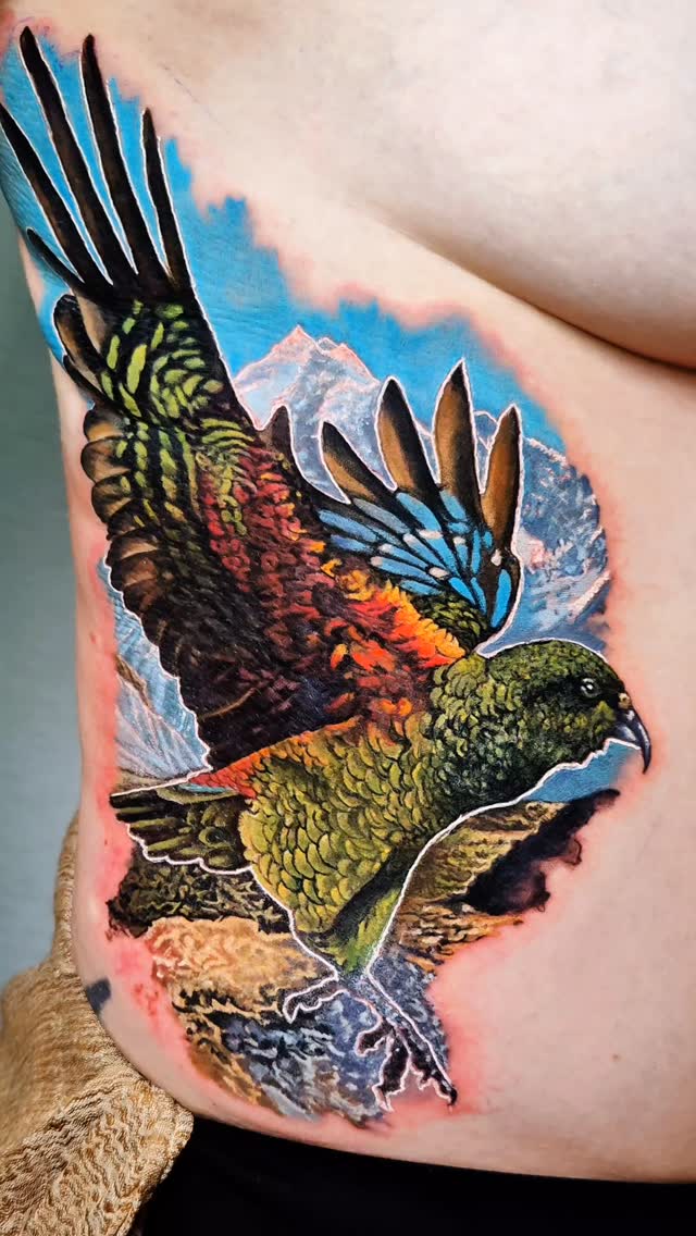 Kea in front of Mt. Aoraki. Thank you Jessica for traveling from SI. Lovely to chat to you all day and you are a champion. Tough spot but you did absolutely awesome!
Thank you
.
..
.
@intenzetattooink @eztattooing @ghostlineapp @afterart.newzealand @inkpro_nz @fkirons @hustlebutterdeluxe #intenze #intenzeink #intenzeteam #afterart #ghostlineapp
