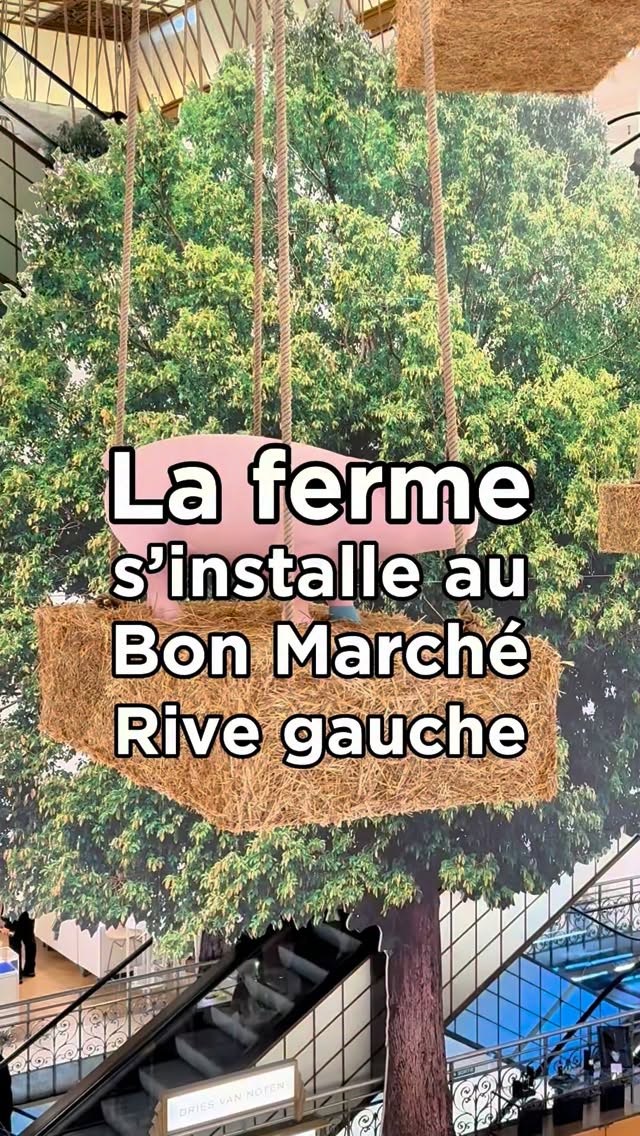 Jusqu’au 19 avril, Le grand magasin de la Rive Gauche se met au vert avec l’exposition « Tous à la ferme »🐖🐑🐓🐄. Sous la grande verrière du 24 rue de Sèvres et à tous les étages, on y fête l’arrivée du printemps avec une scénographie très originale : Vaches, cochons, poules... tous les animaux de la ferme font le show suspendus dans les airs. Pour l’occasion, deux invités La Ferme de Gally et Maison Courtin apportent leur touche authentique et leur univers chaleureux avec des objets utiles et des produits du verger à savourer… Tout ce qu’on aime pour une maison gourmande et pleine de charme. Et parce que la campagne, c’est aussi une réalité à soutenir, La Grande Épicerie de Paris et Le Bon Marché s’engagent aux côtés de Solidarité Paysans. Un vrai bol d’air frais sans quitter la capitale.
-——
🐖 Le Bon Marché Rive Gauche
24, rue de Sèvres 75007 Paris
Du lundi au samedi de 10h à 19h45
Le dimanche de 11h à 19h45
#lebonmarcherivegauche #lebonmarche #parisshopping #grandmagasin