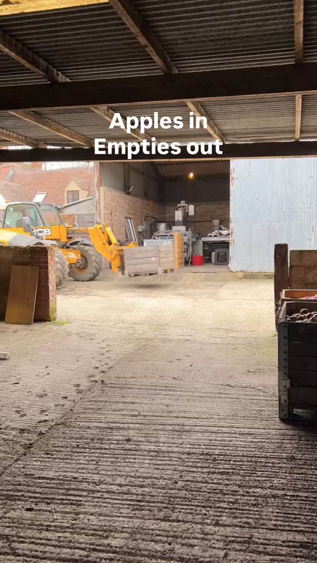 More apples from a cold store - wonky fruit, to be turned into juice for the lucky student at the University of Reading.
@uniofreading #wonkyfruit #applepresing #juice #sustainability