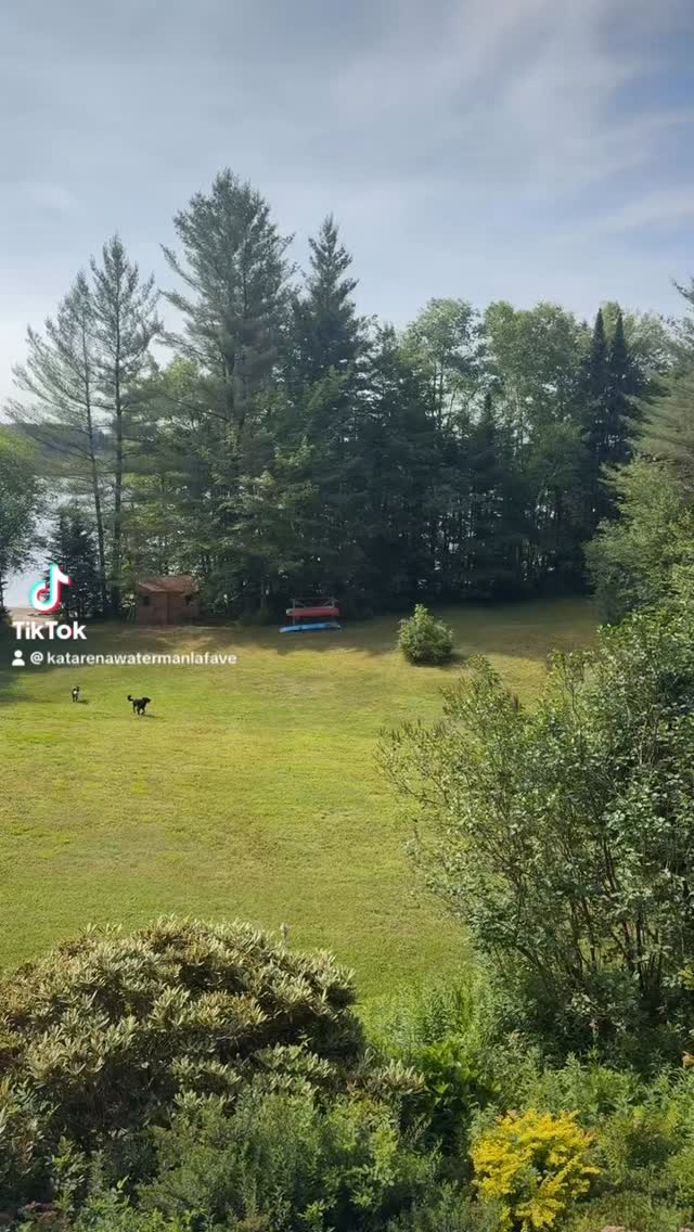 Only 3 more months until Upstate New York looks like this 🏡
✨ Thinking About Buying or Selling in Upstate NY? ✨
Whether you’re upgrading, downsizing, relocating, or buying your first home, you deserve a local expert who knows the market inside and out.
I proudly serve:
📍 Adirondacks
📍Mohawk Valley
📍 Oneida County
📍 Herkimer County
&& surrounding areas
With strategic marketing, strong negotiation, and local insight, I help my clients move with confidence.
🏠 Homes are selling.
📈 Buyers are active.
💬 Let’s talk about your next move.
📲 Message me today for a FREE home value or buyer consultation.
Katarena LaFave
Associate Broker with Lawless Real Estate 🏡
(M) 315-335-7110
(O) 315-724-7474
(E) Kat.lawlessrealestate@gmail.com