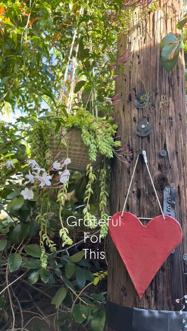 Nourish ✨
With the right conditions anything can thrive.
It takes giving energy to the things you want to grow.
I really wanted this jasmine to flourish and so have been feeding it extra nutrients and it’s thanking me by weaving its way with an abundance of new buds.
My front entryway smells amazing right now!
What are you giving your energy to today?
#growth #thrive #mindset #nourish #energy