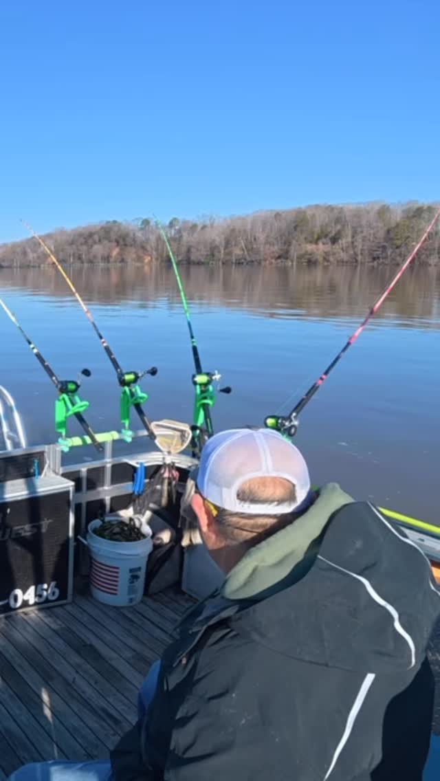 Fighting catfish in heavy current