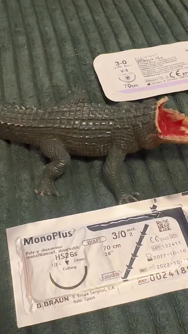 Klar behandeln wir auch Krokodile.