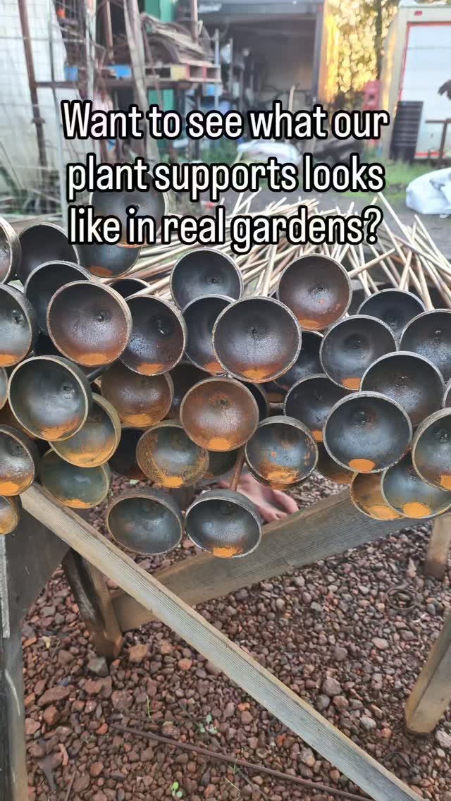 Our plant supports are designed to blend in with your garden rather than stand out, so the plants are what steals the show. They always look better in your garden, and we love to see where they end up. Send me pics of your purchases.
#gardening #gardeninspiration #cottagecore #cottagegarden #handmade