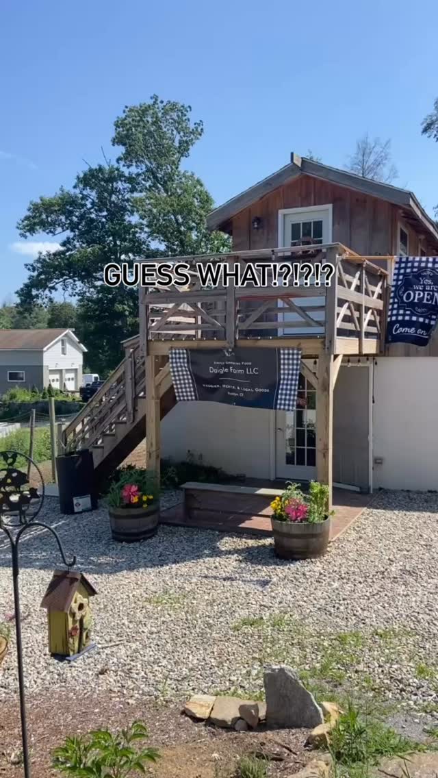 We are Dillon and Cassidy, owners of Daigle Farm in northeast Connecticut! (The blue collar area of CT) we are both going to be 31 this year and have been farming full time for about 7 years now.
We are trying to build our Instagram account because we are not that great at social media! We need your help, and your suggestions.
Is farmstagram over saturated? Is there room for one more of us? Let us know if you’ve read this far!
#farming #newengland #simplygrowingfood #garden #homestead #growing #instagram #socialmedia #farmstagram #trialreels