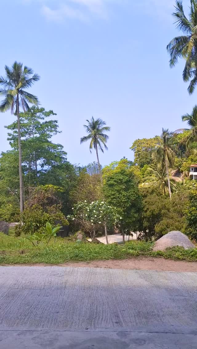 Beach plans, dinner plans, sunset plans — we’ll get you there 🚙💨
FREE buggy service to and from Sairee Village | 8am–10pm
#kohtao#secretgardenecopoolvillas#thailand#luxuryvilla#ecofriendlyresort