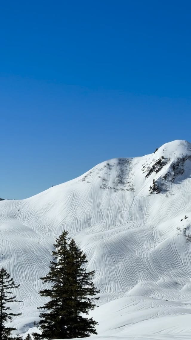 Picasso? 👨🏼🎨
sooo schön & traurig zugleich… tschüss powder 👋🏽🥲