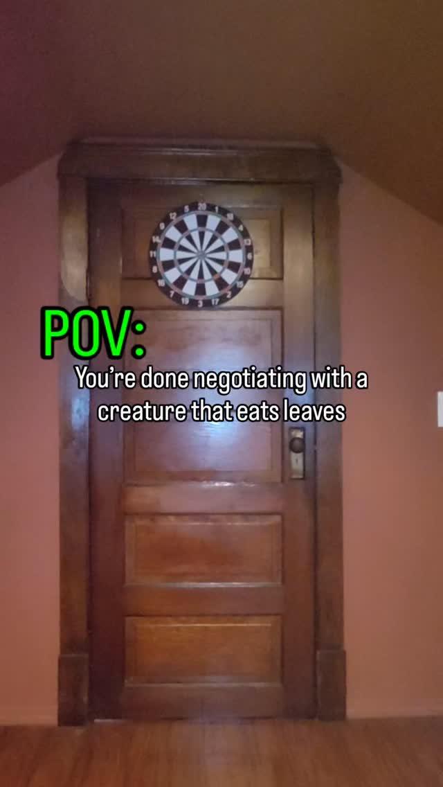 At some point, every puppy owner realizes…
they’ve been negotiating with someone who has absolutely no intention of cooperating
Welcome to your puppies teen phase 🫡
And honestly? Everything starts to feel better once you build language that you both understand
Follow for real-life puppy training and fewer sock-related crimes 🚔