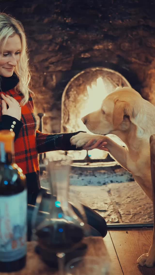 Aways bring them along for the ride ♥️.
#dogsarethebest #dogsofinstagram #ladrador #workingdogsofinstagram