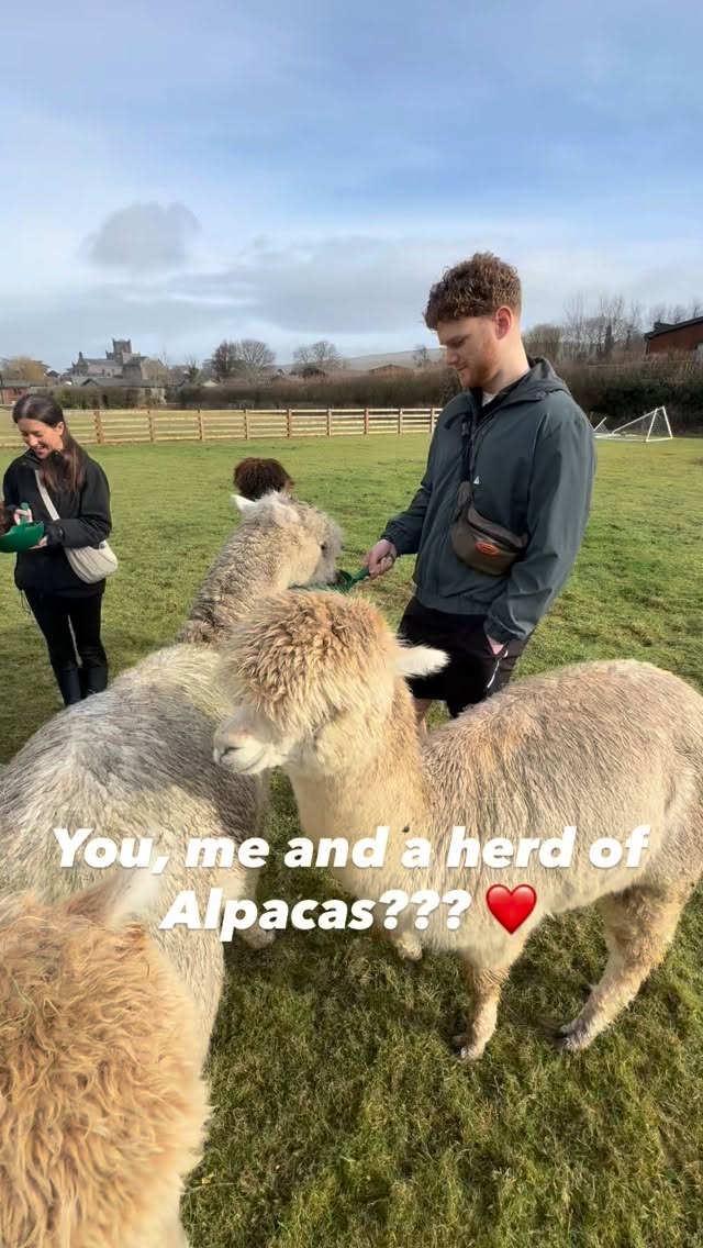 POV: You finally plan a cute date and an alpaca flirts with your partner instead 🦙😂
Fresh air
Fluffy chaperones
Zero awkward small talk
Honestly… 10/10 date idea that she will love
Tag someone who’d do this with you 🤍
