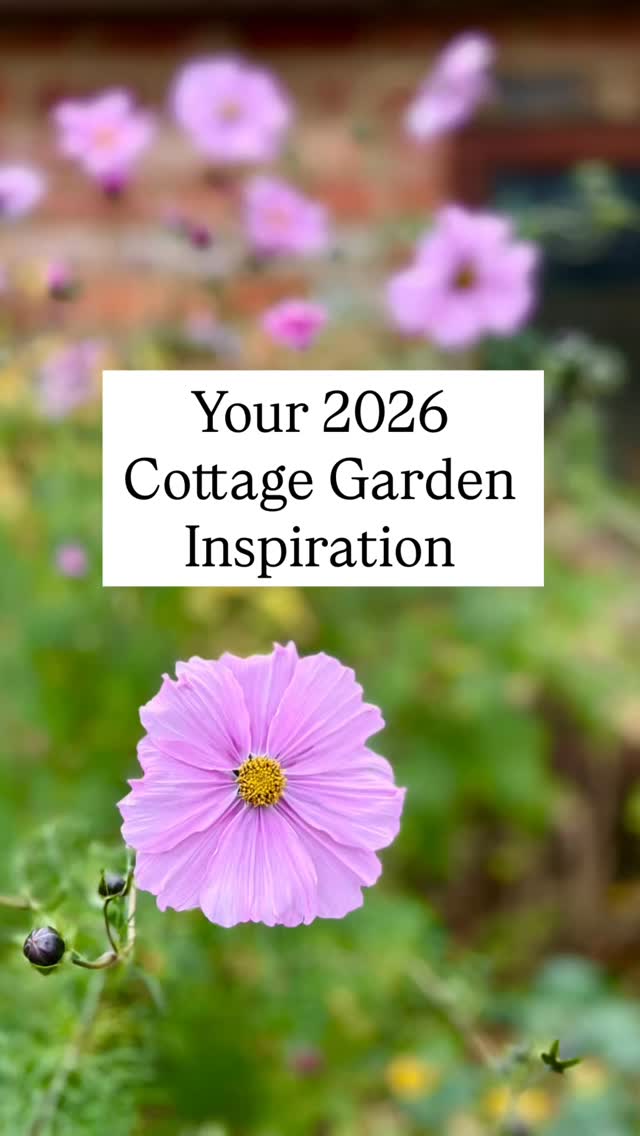 2026 is the year of the āHeritage Gardenā revival, and honestly, Iām mad about it. Youāll see me carrying baskets of these:
1. Lupins: Those tall, dreamy spires š„° Pure magic.
2. Hollyhocks: Because every garden deserves a little 9 foot tall drama.
3. Sweet Peas: For that āMammoth Pastelā scent that hits better than any candle ever could. Plus many moreā¦.
Weāre leaning into the unruly, the fragrant, and the nostalgic. Are we team cottage garden or modern and minimal? Let me know!
#CottageGarden #2026Garden #flowers