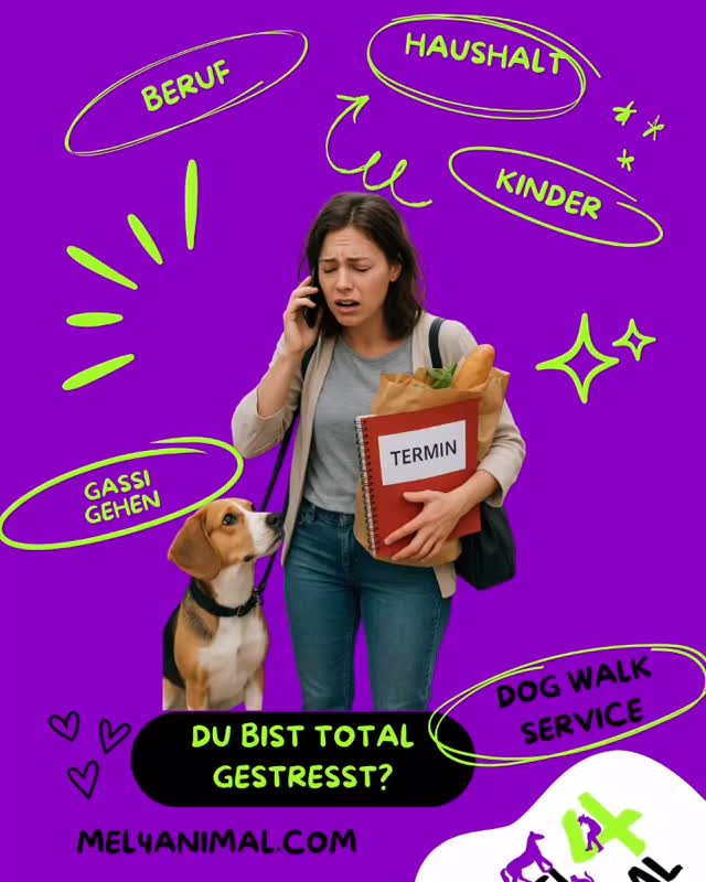 Dog Walk 1:1 Betreuung ❤️ mel4animal.com #mel4animal #veldenamwörthersee #worldsamys #dogwalk #happydog