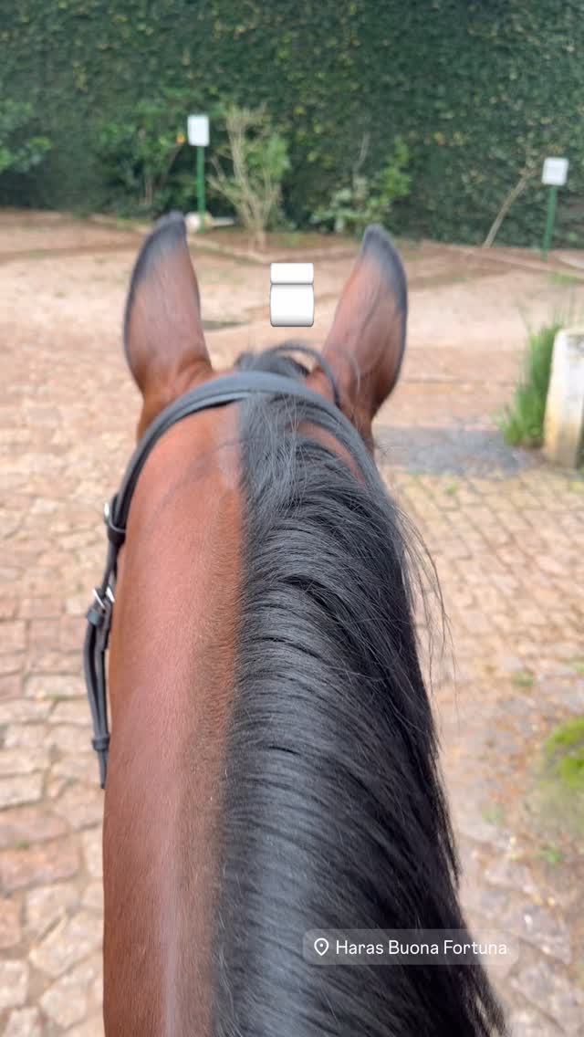 How to reset all problems in 15 seconds #lifehack