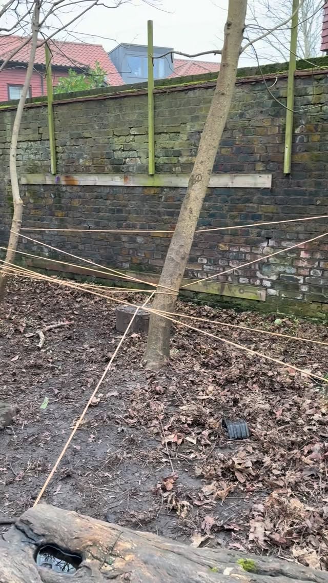 Spring has sprung in the Ladybird Forest! 🌸
We started the morning creating a giant rope web for the children to climb, crawl and explore. Then we ripped up old fabric and worked together to weave a brand new tapestry 🪢
Afterwards we checked on our growing garden. The strawberries and herbs are sprouting beautifully and should be ready just in time for summer! 🍓🌱
We finished the morning relaxing together in the forest hammock
#highgatewoods #forestshcool #highgatemums #hampstedmums #montessori