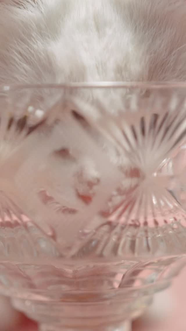 Something milky coming your way. Stay tuned! 🥛
#milk #beauty