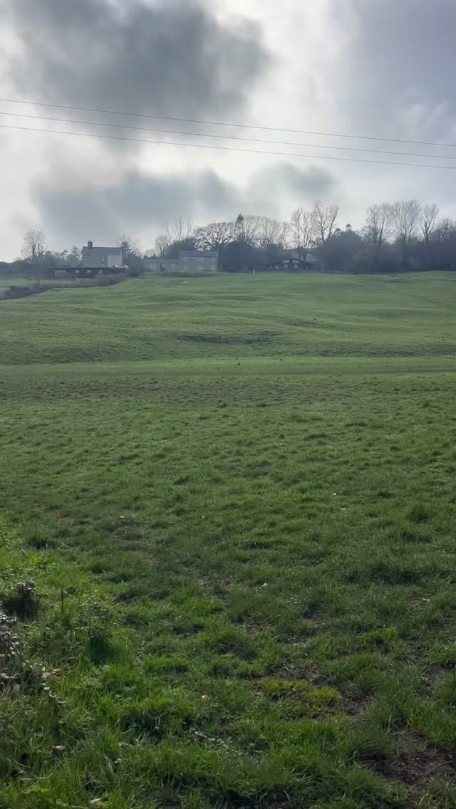 Pause, breathe, release & let go of all the responsibility your carrying, allowing for spirit, the universe, god,angels, the space, what ever word, belief you use to take it 🙏🏻💞✨it’s not yours to carry 🥰