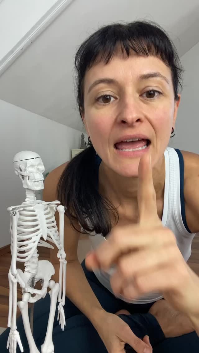 Viel zu viele Yogalehrenden glauben leider immer noch an anatomische Missverständnisse wie z.B.
❌ „Gestreckte Knie sind in Vorbeugen besser“
❌ „Je gedehnter, desto fortgeschrittener“
❌ „Es gibt DIE eine richtige Ausrichtung“
Weißt du, warum das nicht stimmt?
Ich erkläre es dir im neuen eBook!
🔎Aufgedeckt & Entlarvt:
Diese 8 schwerwiegenden Yoga Anatomie Missverständnisse können dazu gühren:
⚠️akuten Verletzungen
⚠️chronischen Schmerzen und
⚠️langfristiger Abnützungen
Es ist dringend Zeit für mehr Anatomie-Wissen im Yoga Unterricht!
Stell dir vor, du könntest:
✅ Anatomische Variationen richtig einschätzen
✅ Sichere Asana-Varianten für jeden Körper finden
✅ Verletzungen vermeiden und nachhaltig unterrichten
✅ Deine Schüler:innen auf einem ganz neuen Level verstehen
Hol dir jetzt das kostenlose eBook „8 Missverständnisse der Yoga Anatomie“
Leicht verständlich erklärt mit Auszügen aus der Yoga Ausbildung Multi-Style.
👉 Jetzt herunterladen für 0 €
✅Kommentiere: ebook anatomie
oder schau in die highlights, bio oder www.FlyLightYoga.net