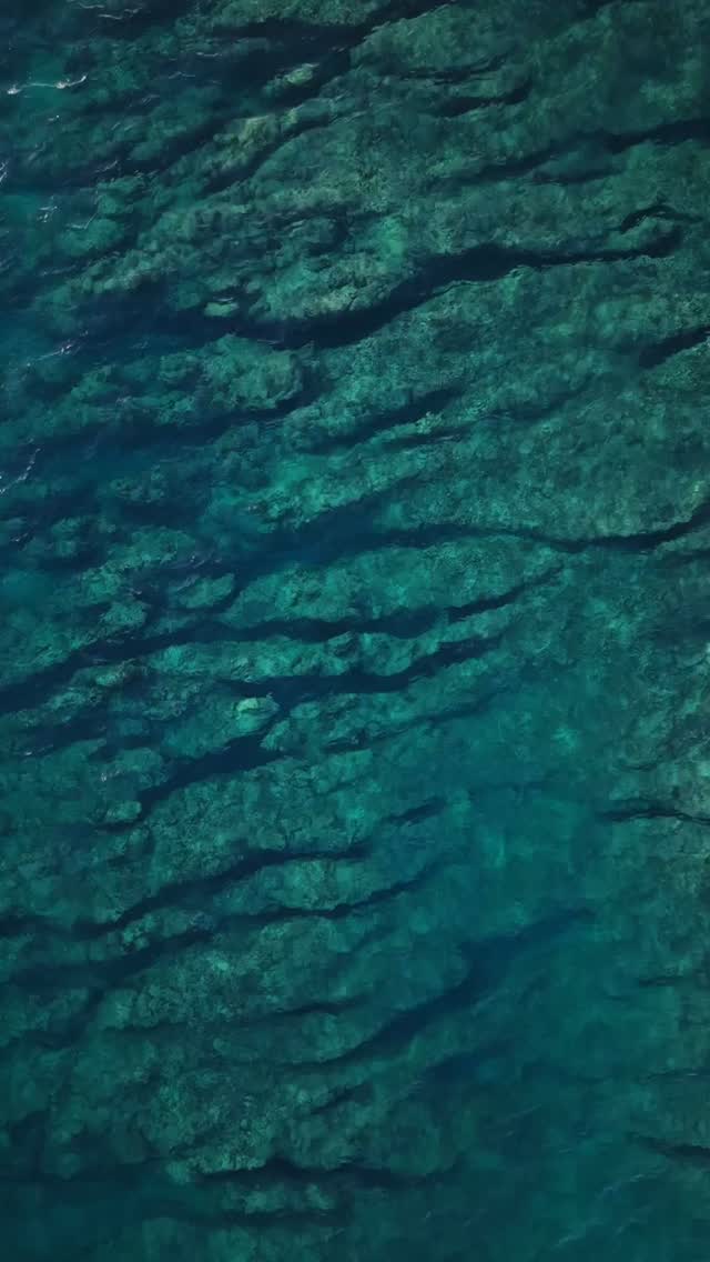 Not just courts.
Not just a holiday.
A different way to experience tennis, where days start with a rally and end by the ocean.
Get in touch with us to join the next trip!
#TennisTravel #TennisLife #Mauritius