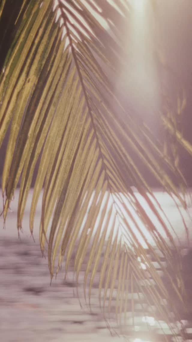 Film stills from the spice islands in the heart of Indonesia.
#spiceislands #bandaneira #indonesia #film