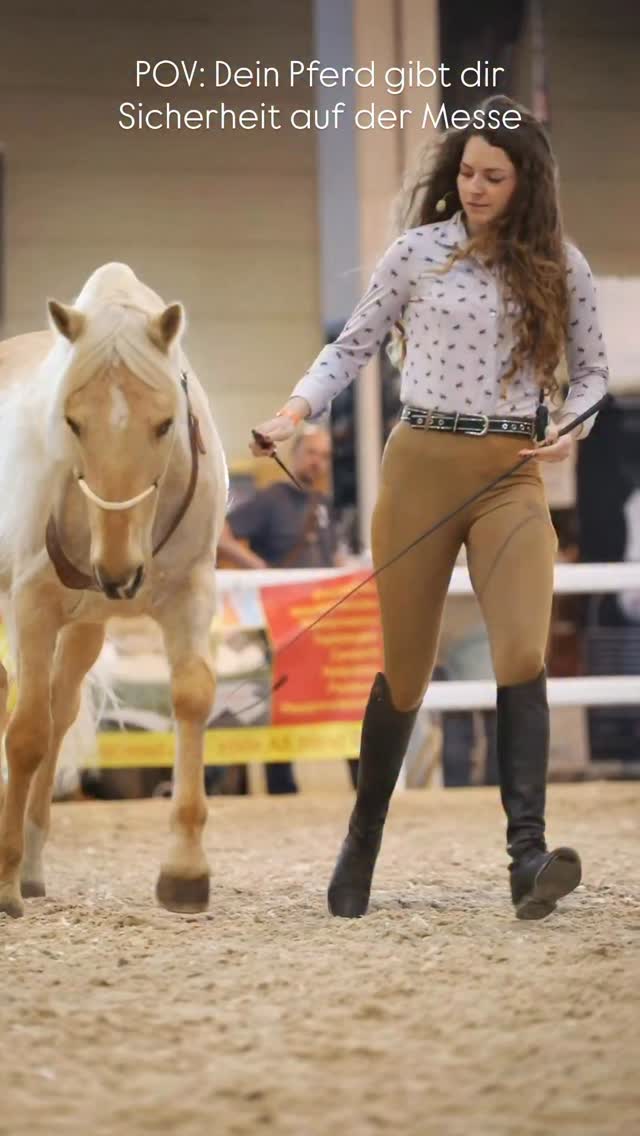 1. Tag der @pferdbodensee 🫶🏼
•
Wie bei allen Sachen die neu für einen sind war ich doch aufgeregt vor der Messe. Sui und ich haben da ja noch kaum Erfahrung und moderieren ist für mich komplette Neuland. Normal sollte ja der Reiter seinem Pferd Sicherheit bieten, aber gestern haben wir definitiv Rollen getauscht. 😅 Sui war die Ruhe selbst und hat mir ein gutes Gefühl gegeben, was mich super geerdet hat. 🤍
•
Heute will ich ein paar andere Sachen zeigen und auch mit Halsring reiten, wenn es sich gut anfühlt. 🍀 Die Hunde machen auch alles brav mit und Happy macht nicht den Anschein, als wäre sie erst 6 Tage in Deutschland 🤣🤣… die liebt jeden und sucht sich permanent neue Leute zum kuscheln. 🥰
•
Ihr findet uns heute um 10:30 Uhr zum meet & greet bei @raitfreizeit am Strand in Halle A6 und um 13:50 Uhr ebenfalls in Halle A6.
•
Aufnahmen von @nm.moments 🫶🏼🫶🏼