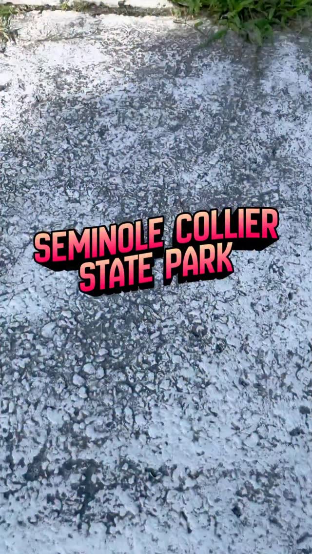 Acampar no Seminole Collier State Park é uma daquelas experiências no sudoeste da Flórida que surpreende as pessoas — da melhor maneira possível.
Este acampamento oferece:
✔️ Espaço amplo (sem lotes apertados e aglomerados)
✔️ Ambiente familiar (parquinho infantil + espaço aberto para brincar)
✔️ Tranquilidade, mas ainda perto de Naples
✔️ Ótimo para trailers e barracas
Se você está procurando um local para acampar na Flórida que seja fácil, relaxante e perfeito para crianças ou para quem está acampando pela primeira vez, este lugar merece estar na sua lista.
💡 Dica local: as manhãs são o melhor horário para explorar o pier, os manguezais e as áreas históricas antes que o calor aumente.
📌 Salve esta dica para sua próxima viagem de acampamento
🧭 Guia completo com campings e dicas disponível no blog
🇺🇸🇺🇸🇺🇸
Camping at Seminole Collier State Park is one of those Southwest Florida experiences that surprises people — in the best way.
This campground is:
✔️ Spacious (no tight, crowded sites)
✔️ Family-friendly (playground + open space to roam)
✔️ Peaceful but still close to Naples
✔️ Great for RVs and tent camping
If you’re looking for a Florida camping spot that’s easy, relaxed, and perfect for kids or first-time campers, this one deserves a spot on your list.
💡 Local tip: mornings are the best time to explore the docks, mangroves, and historic areas before the heat kicks in.
📌 Save this for your next camping trip
🧭 Full guide with campsites + tips is live on the blog
#SWFL #NaplesFL