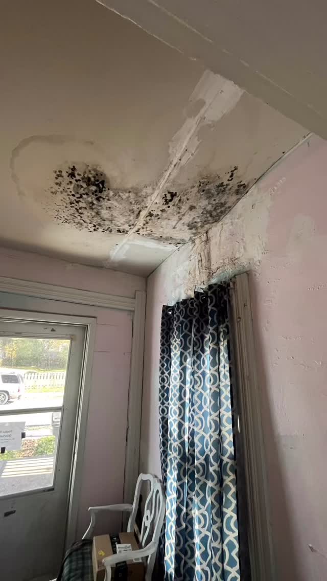 Water Damage + Mold
#ohio #handyman #blackownedbusiness #supportsmallbusiness
