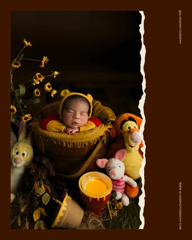 🫣😆 While the social media posting craze can be daunting I still love being a photographer and creating these moments for my clients is what fuels me!
Give me your vision and I will run wild with it!
Mom mentioned baby’s nursery had this theme and wondered if I had anything to style the session with it. I instantly started pulling items from my prop storage and styled a set up like you see on here. Being mom had scheduled in her 2nd trimester I was also able to order this outfit that will now be available for other requests of this theme! ☺️
Art with a ❤️
www.alogsphotography.com
#illinoisphotographer
#babyphotographerchicagoillinois
#oswegoilnewbornphotographer
#maternityphotographerauroraillinois
#cakesmashphotographermontgomeryillinois