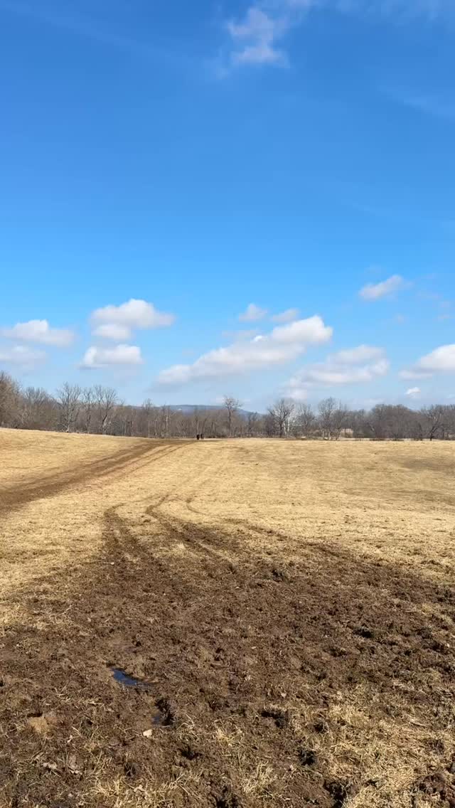 Entering March! Where M stands for Mud holeโฆ ๐คฃ๐
Spring is just around the cornerโฆBut Winter ainโt over til itโs over.