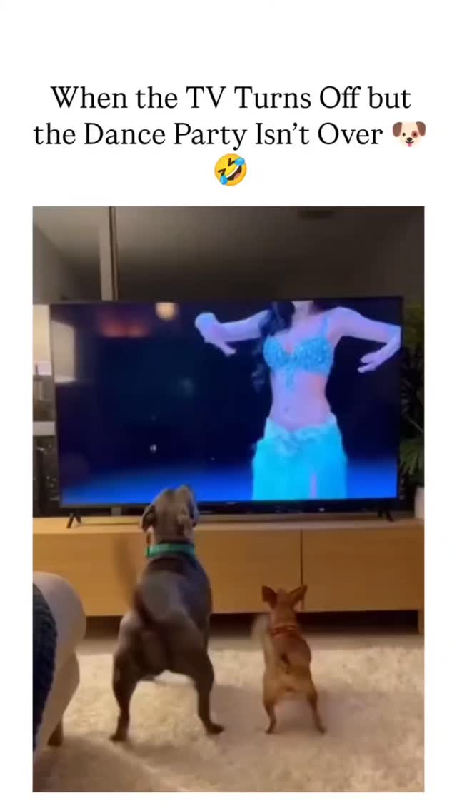 Friday feels! 😂Viral video, I hope you laugh like I did! Have a great weekend! Remember, at Latin Soul Dance, it's always a party. See you soon! 🎉💃🥳 #Friday #funvideo #Weekend #Party #Dance